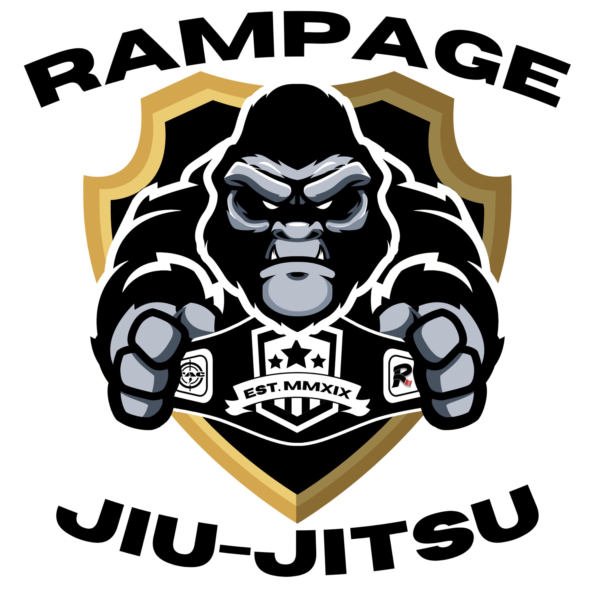 BJJ Gym
